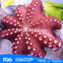 HL089 frozen octopus whole cleaned with Certification in poly bags